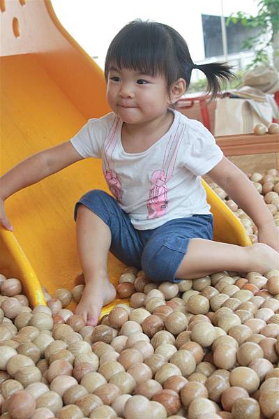 IMG_1719.JPG IMG_1719.JPG