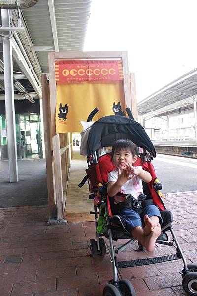 IMG_1794.JPG IMG_1794.JPG