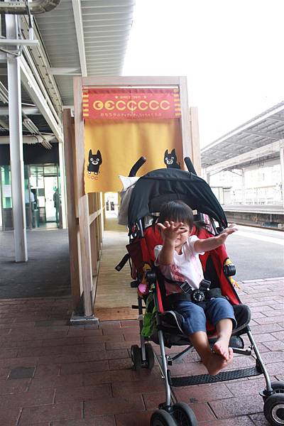 IMG_1791.JPG IMG_1791.JPG