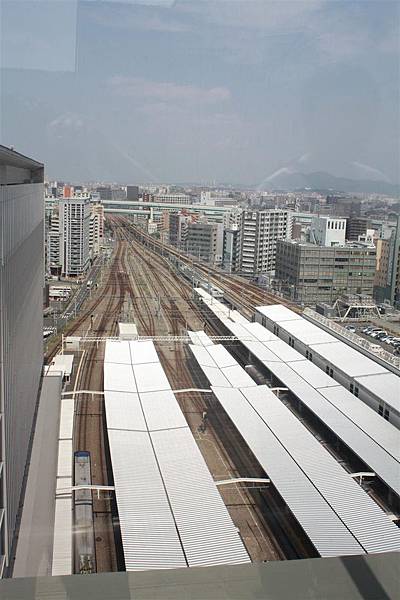 IMG_1866.JPG IMG_1866.JPG