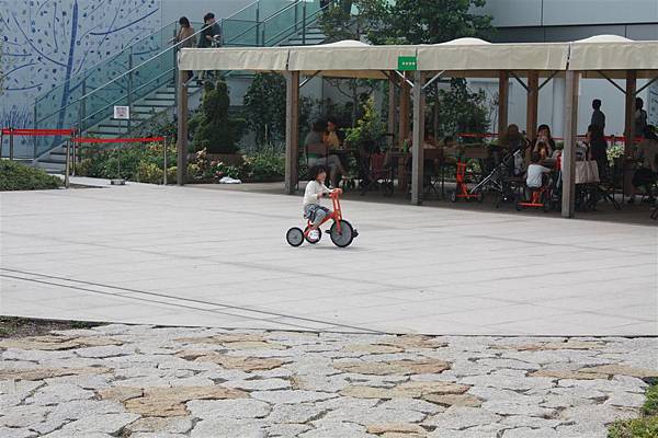 IMG_1869.JPG IMG_1869.JPG