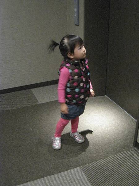 IMG_2196.JPG IMG_2196.JPG