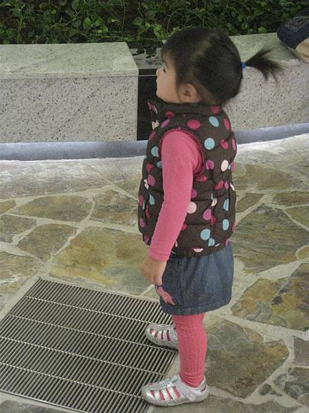 IMG_2204.JPG IMG_2204.JPG