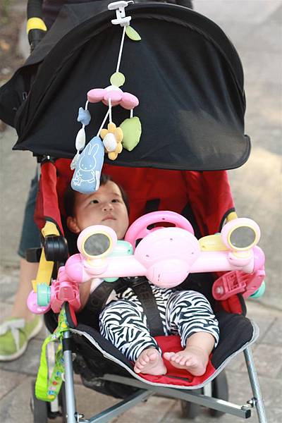 IMG_1883.JPG IMG_1883.JPG