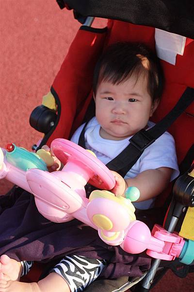 IMG_1881.JPG IMG_1881.JPG