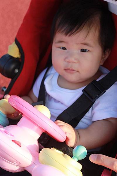 IMG_1879.JPG IMG_1879.JPG