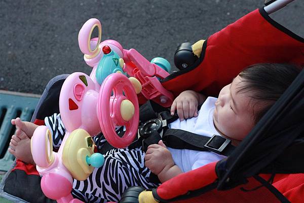 IMG_1885.JPG IMG_1885.JPG