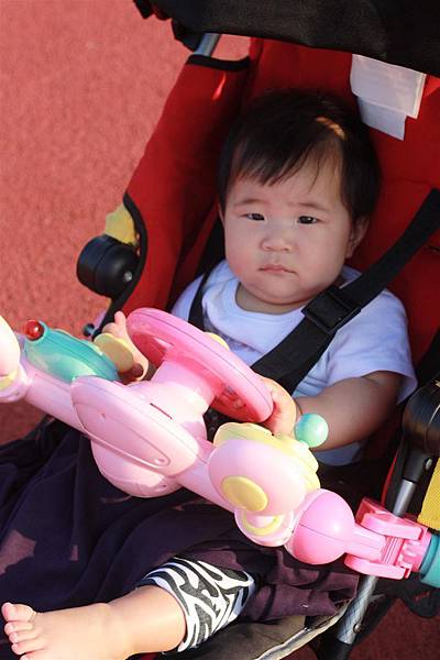 IMG_1987.JPG IMG_1987.JPG