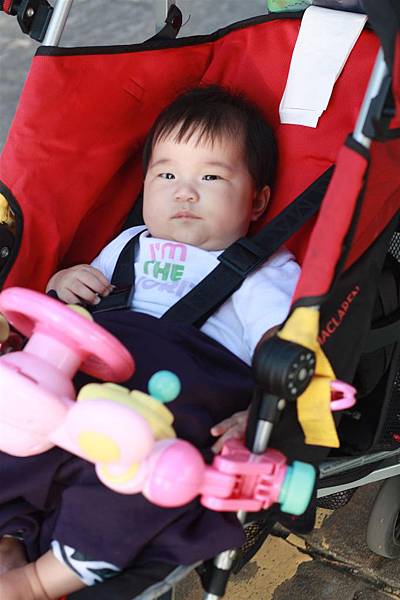 IMG_1941.JPG IMG_1941.JPG