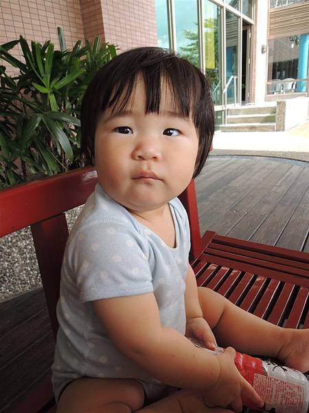 DSCN7982.JPG DSCN7982.JPG