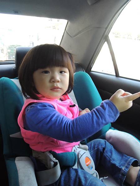 DSCN6196.JPG DSCN6196.JPG