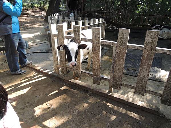 DSCN6202.JPG DSCN6202.JPG