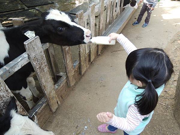 DSCN6203.JPG DSCN6203.JPG