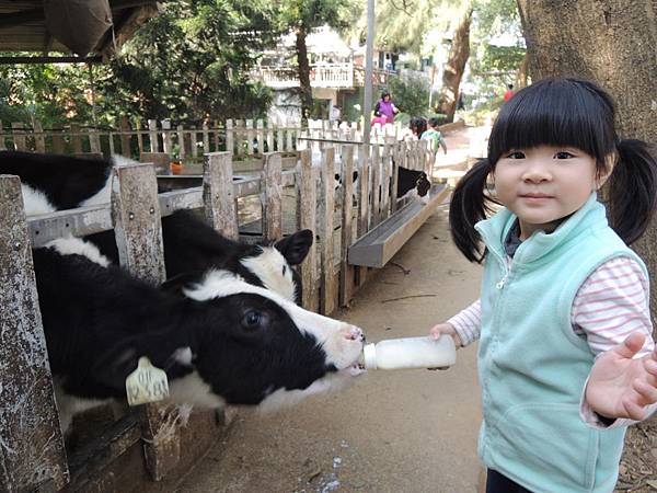 DSCN6204.JPG DSCN6204.JPG