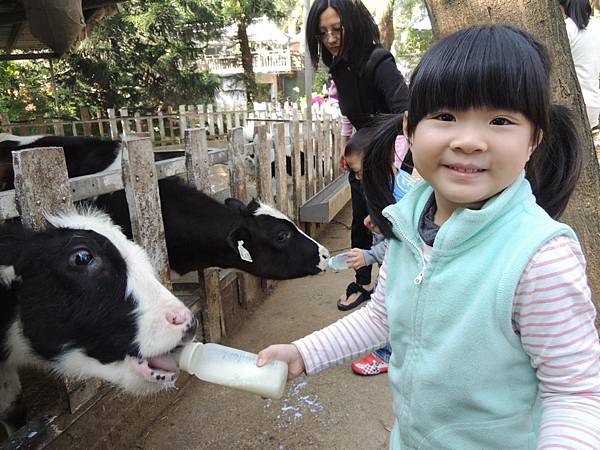 DSCN6206.JPG DSCN6206.JPG