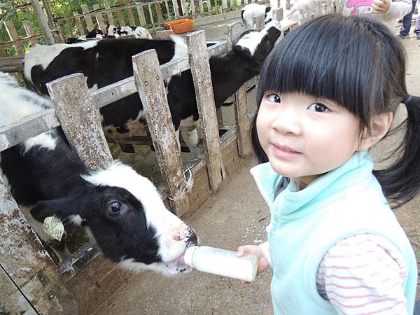 DSCN6207.JPG DSCN6207.JPG