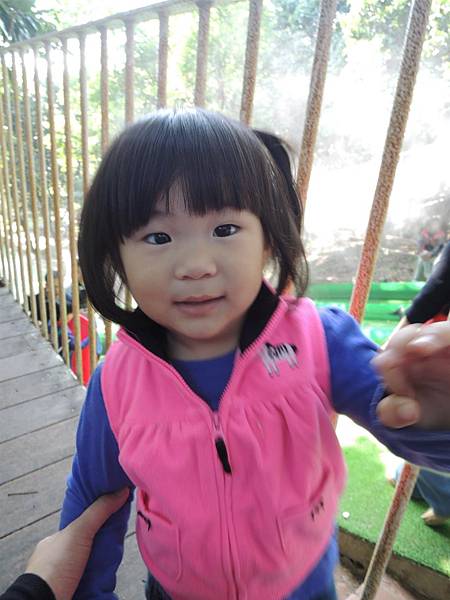 DSCN6209.JPG DSCN6209.JPG