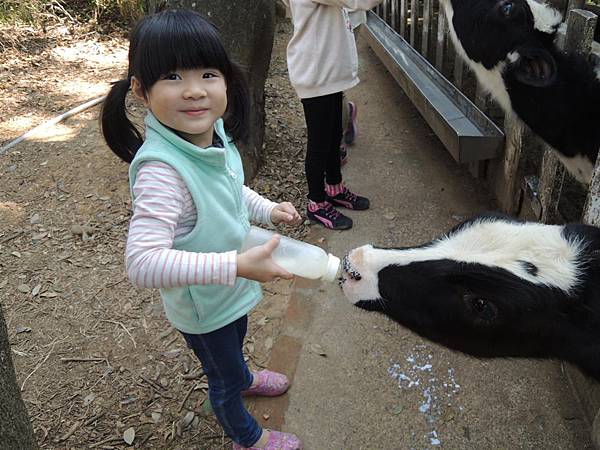 DSCN6208.JPG DSCN6208.JPG