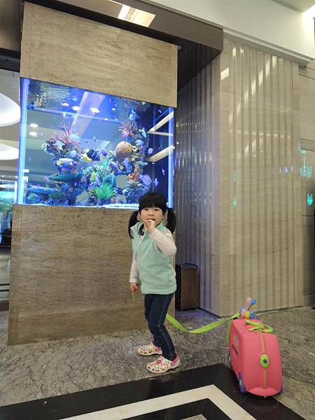 DSCN6225.JPG DSCN6225.JPG