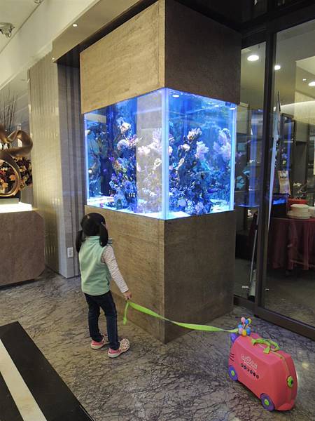 DSCN6227.JPG DSCN6227.JPG