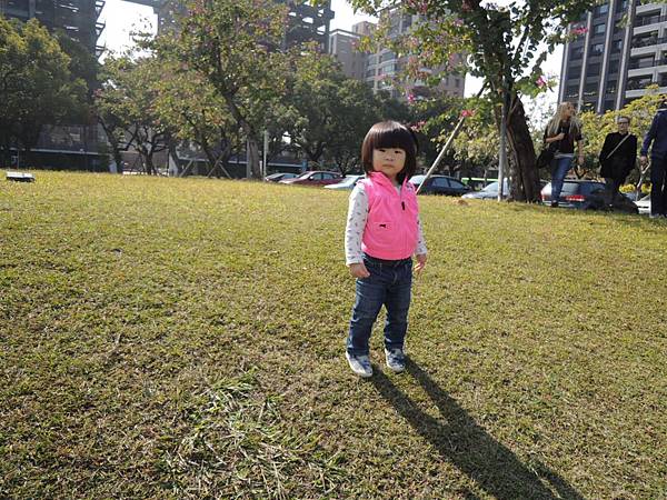 DSCN6287.JPG DSCN6287.JPG