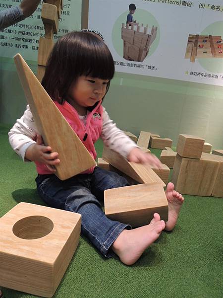 DSCN6376.JPG DSCN6376.JPG