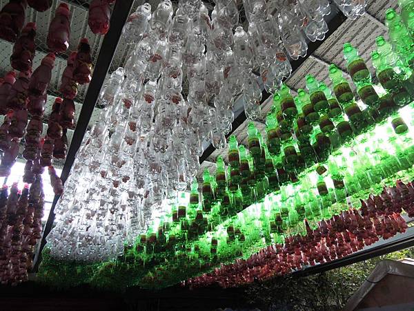 DSCN6413.JPG DSCN6413.JPG