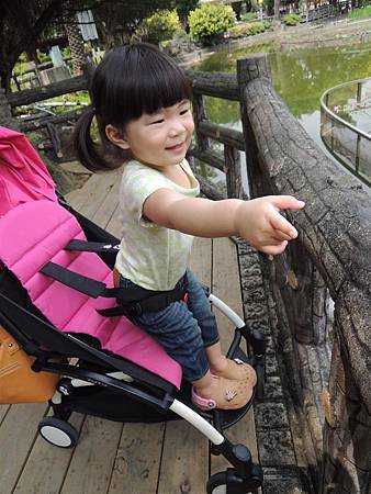 DSCN7397.JPG DSCN7397.JPG