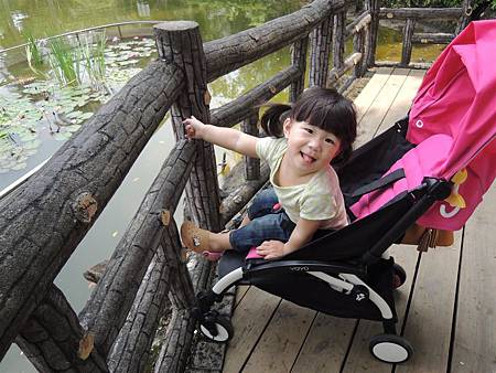 DSCN7395.JPG DSCN7395.JPG