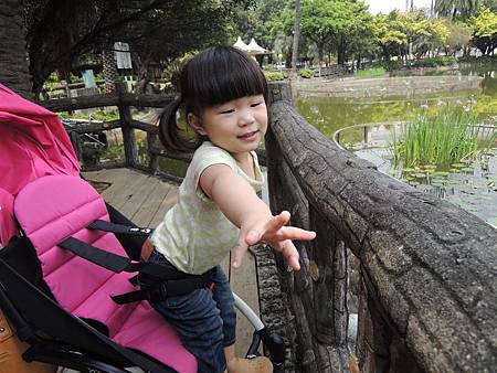 DSCN7399.JPG DSCN7399.JPG