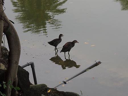 DSCN7408.JPG DSCN7408.JPG