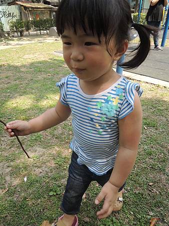 DSCN7472.JPG DSCN7472.JPG