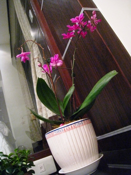 IMG_4096.JPG IMG_4096.JPG