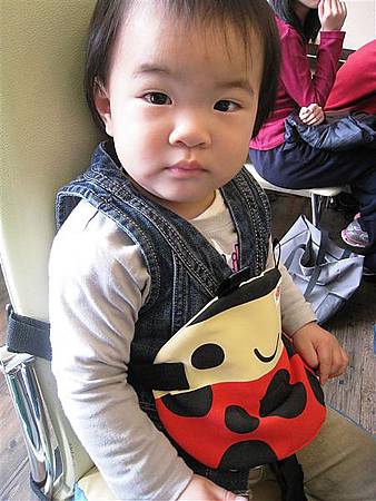 IMG_5670.JPG IMG_5670.JPG