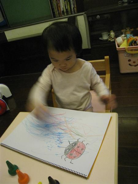 IMG_8279.JPG IMG_8279.JPG