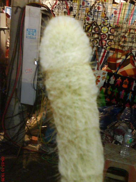 DSC00305_調整大小 .JPG