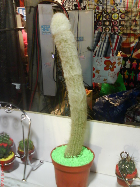 DSC00304_調整大小 .JPG