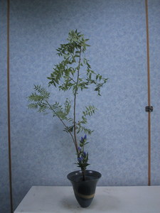 2007第二期5 2007第二期5