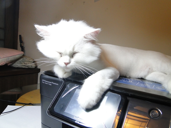 201009怡萱和阿傑 005.jpg 201009怡萱和阿傑 005.jpg