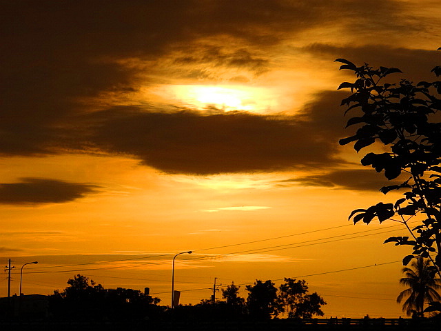 DSC00950 DSC00950