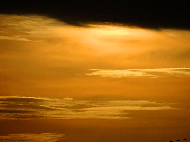 DSC00956 DSC00956