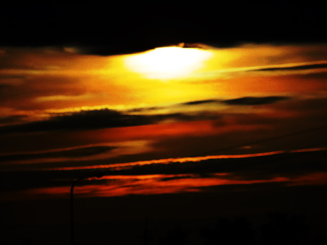 DSC00959 (1) DSC00959 (1)