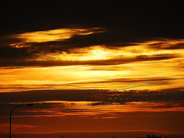 DSC00964 DSC00964