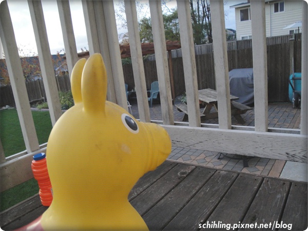 孤單跳跳馬.jpg 孤單跳跳馬.jpg