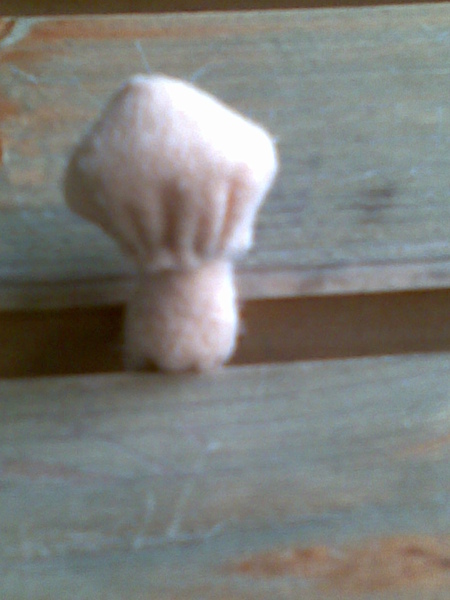 被小朋友嫌棄的蘑菇