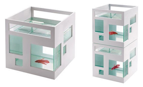 Teddy-Luong-Umbra-Fish-Condo.jpg