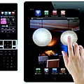 3_Savant_Remote_and_iPad_Control.jpg