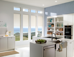 kitchen1.jpg