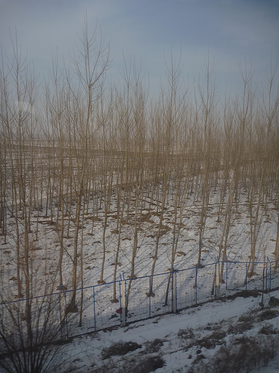 P1010376.JPG P1010376.JPG