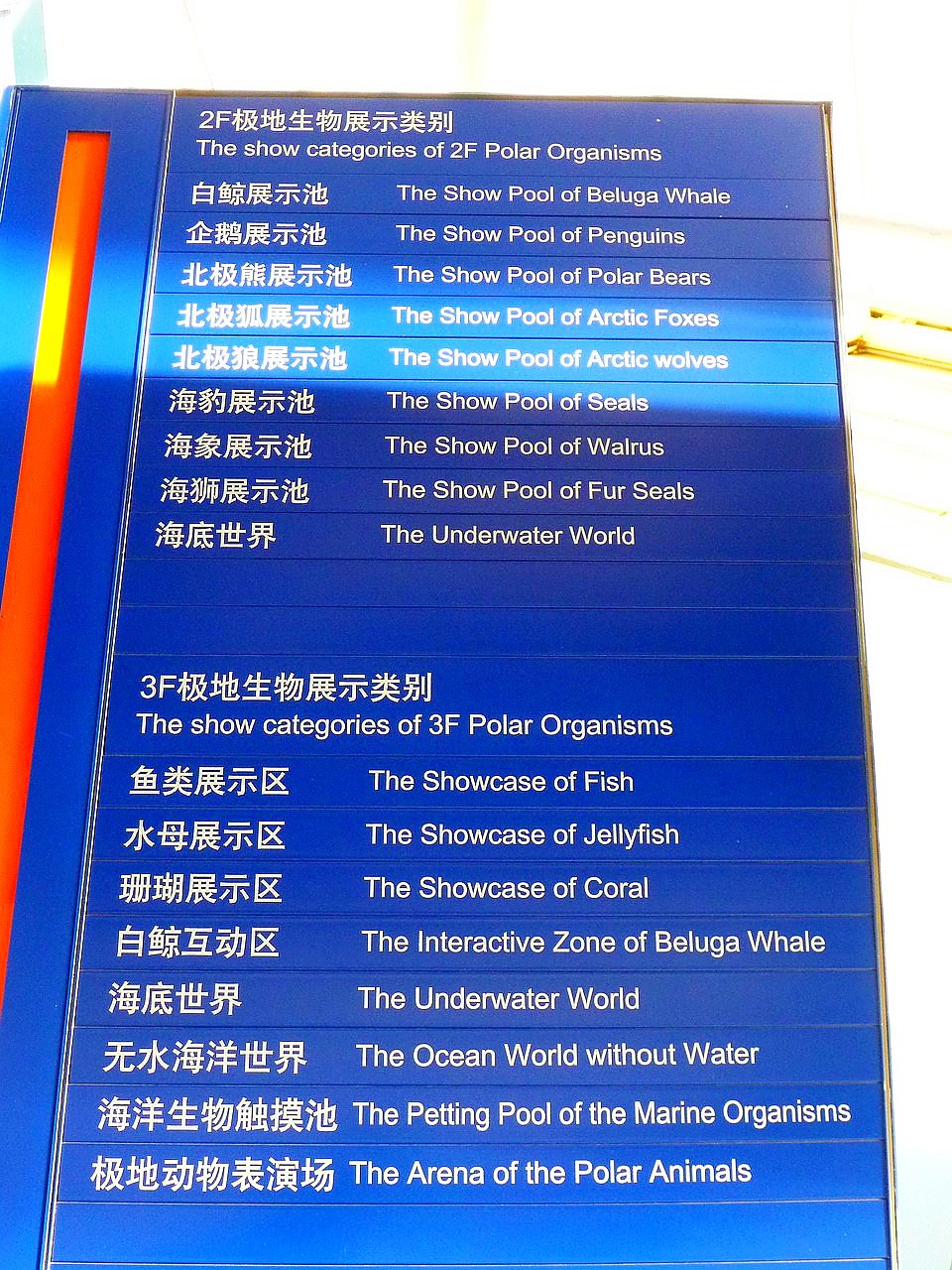 因為是極地海洋館，所以有一半的展場都是極地生物